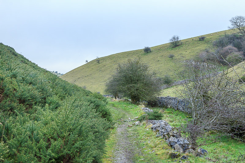 Biggin Dale Biggin Dale